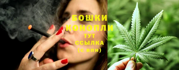 ГАЛЛЮЦИНОГЕННЫЕ ГРИБЫ Магадан