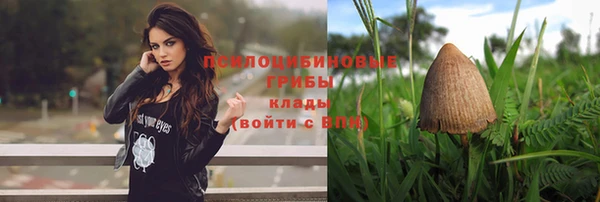 ГАЛЛЮЦИНОГЕННЫЕ ГРИБЫ Магадан