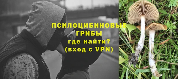 ALPHA-PVP Магас